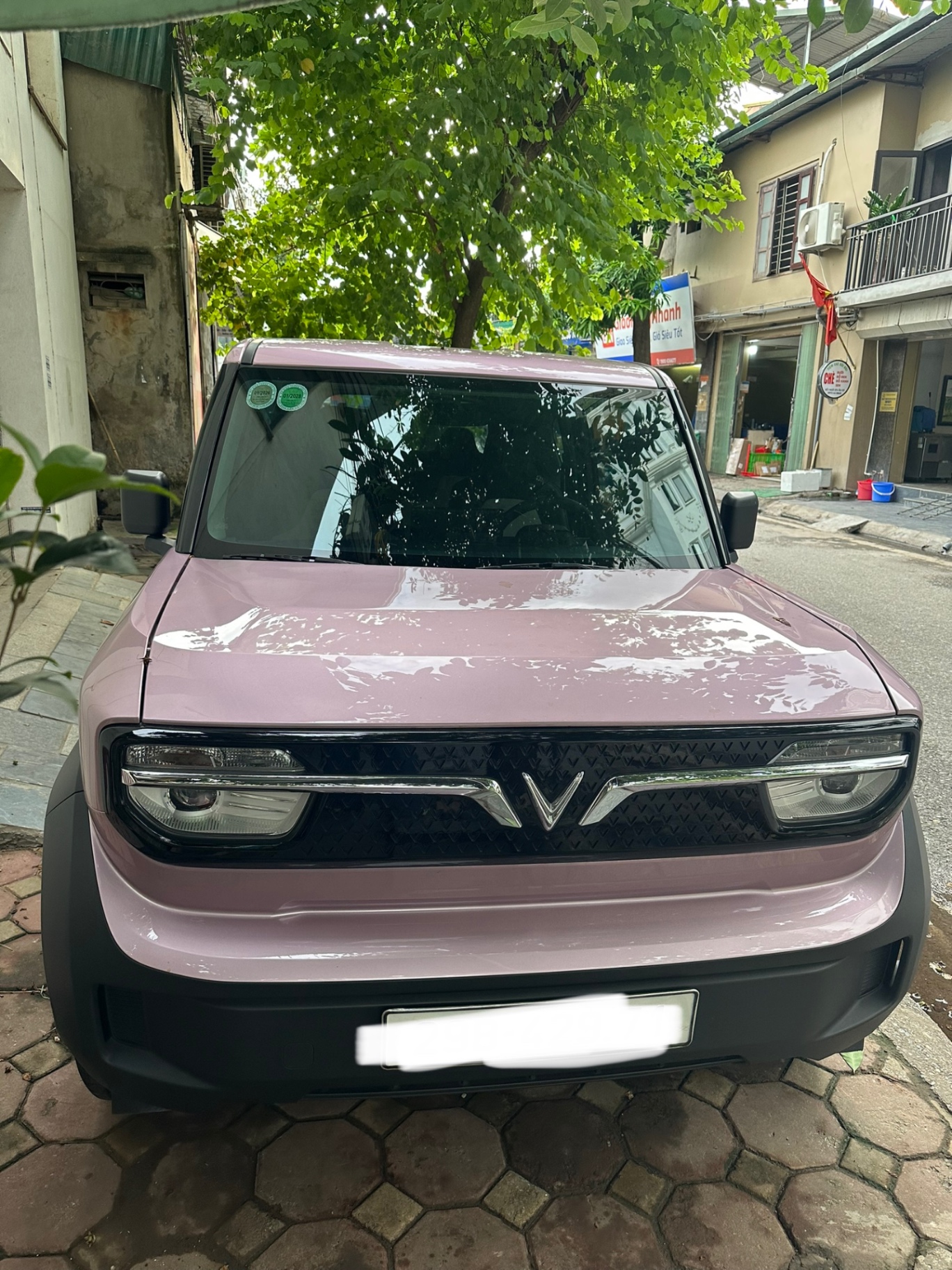 Vinfast Vf3 Thuê Pin 2024