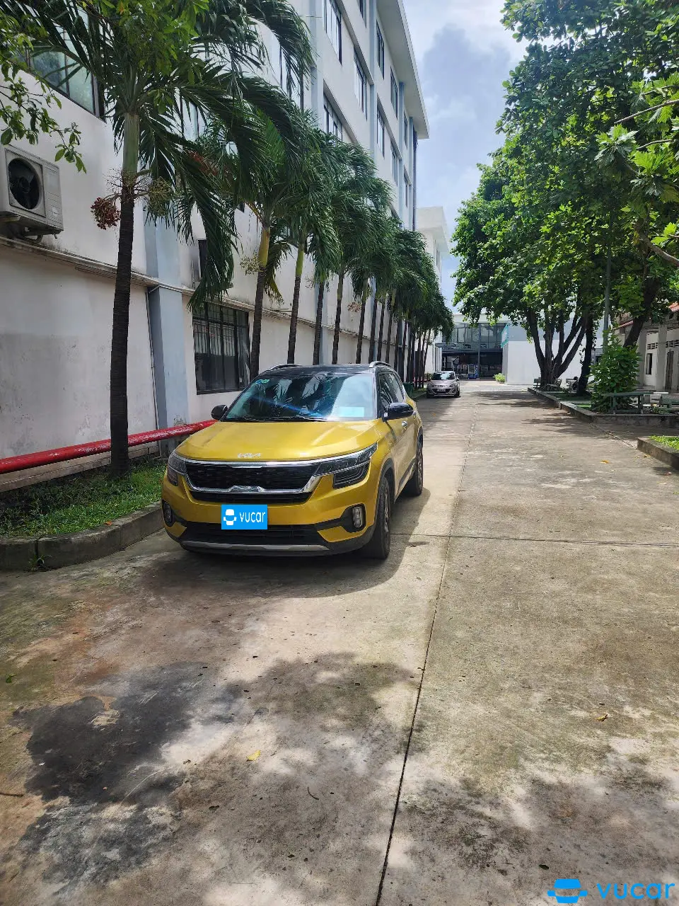 Kia Seltos Premium 1.6 AT 2022 - Ngoại thất 6