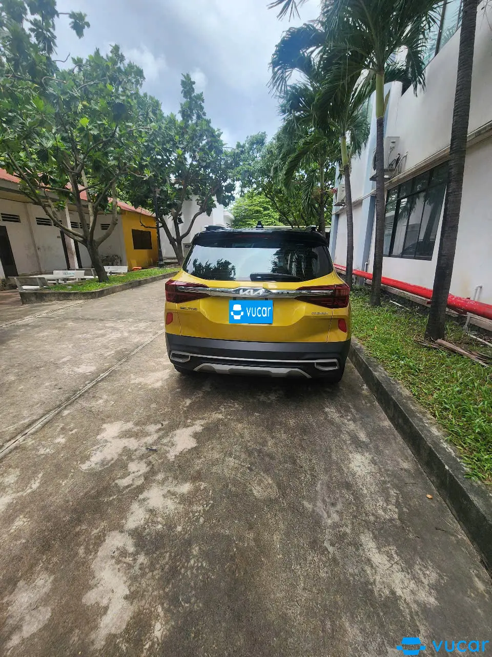 Kia Seltos Premium 1.6 AT 2022 - Ngoại thất 19