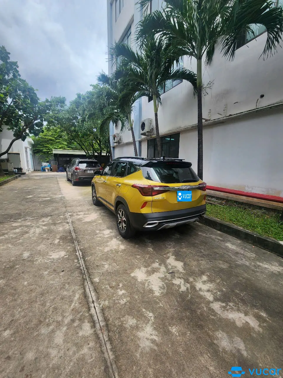 Kia Seltos Premium 1.6 AT 2022 - Ngoại thất 8