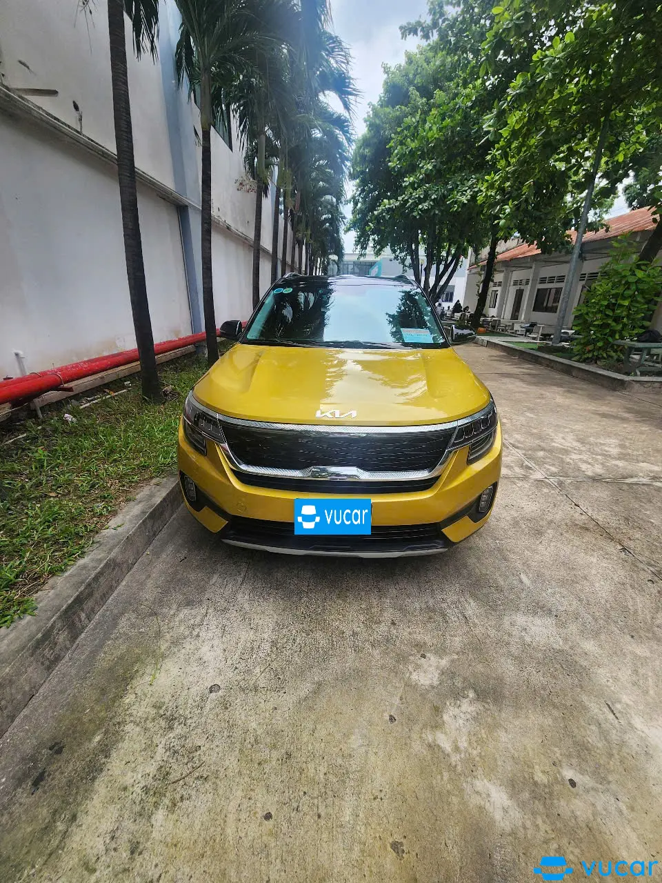 Kia Seltos Premium 1.6 AT 2022 - Ngoại thất 9