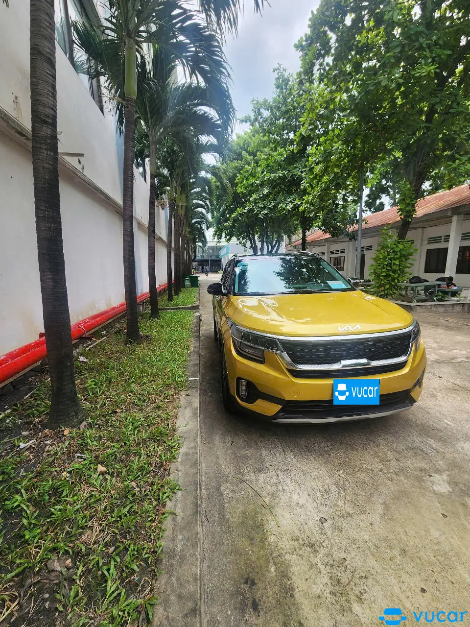 Kia Seltos Premium 1.6 AT 2022 - Ngoại thất 10