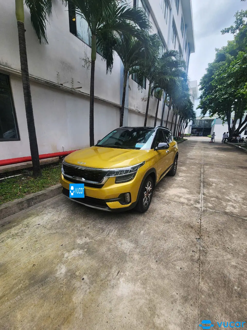 Kia Seltos Premium 1.6 AT 2022 - Ngoại thất 11