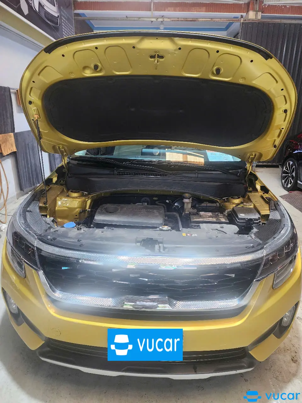 Kia Seltos Premium 1.6 AT 2022 - Ngoại thất 14