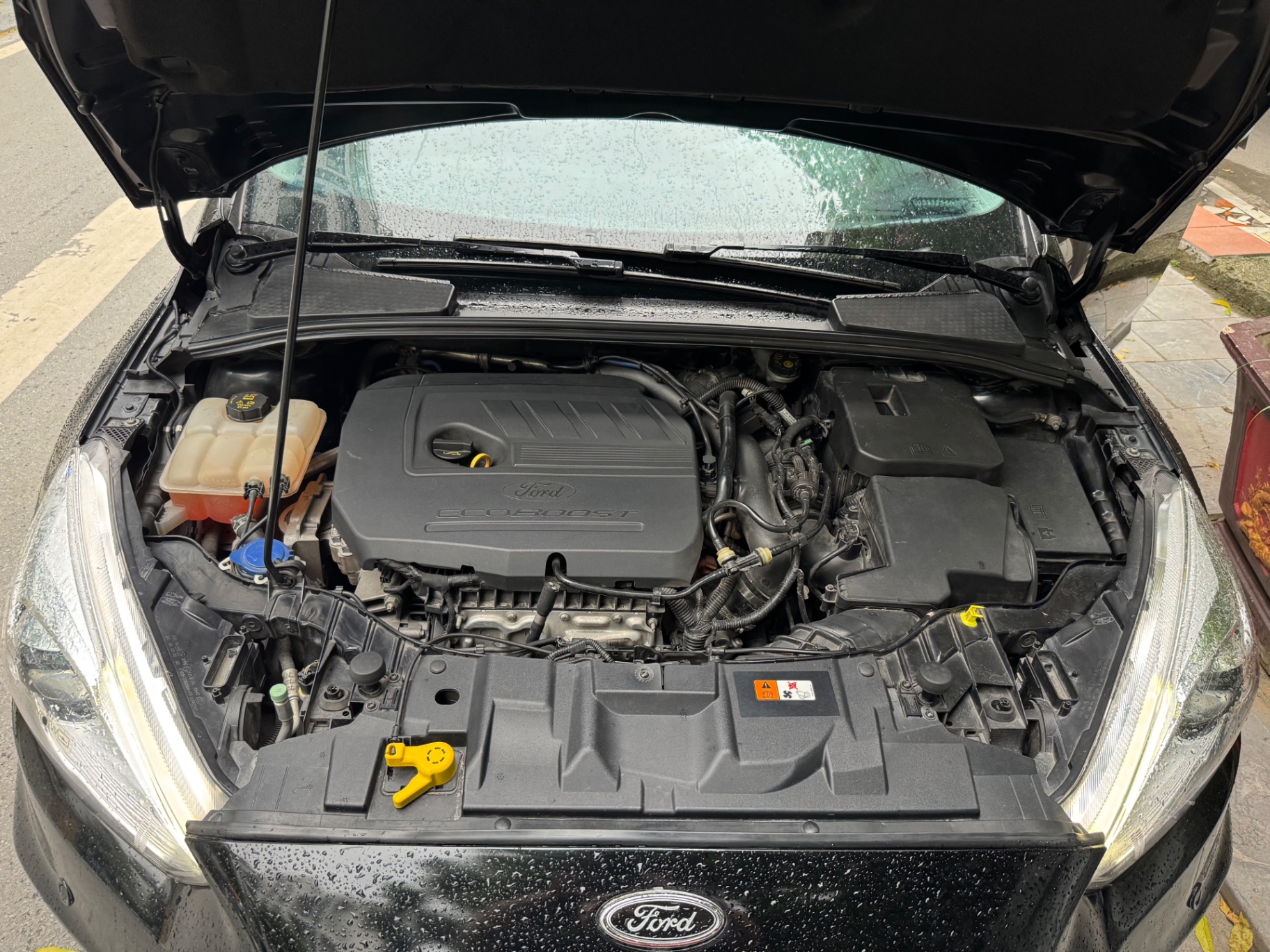 Ford Focus Sport 1.5L 2017 - Khoang động cơ 1