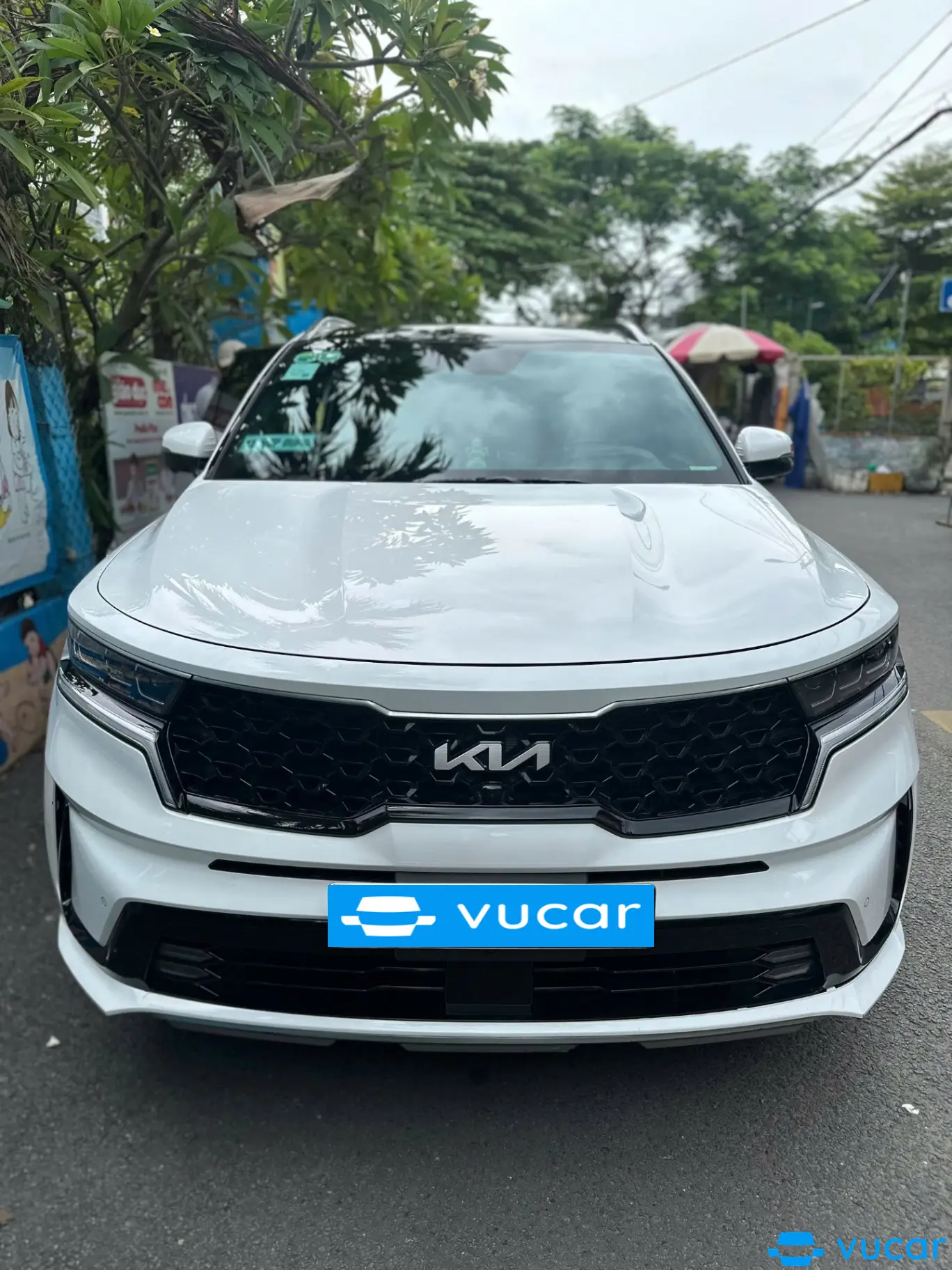 Kia Sorento Signature 2.2 AT AWD 2023 - Ngoại thất 6