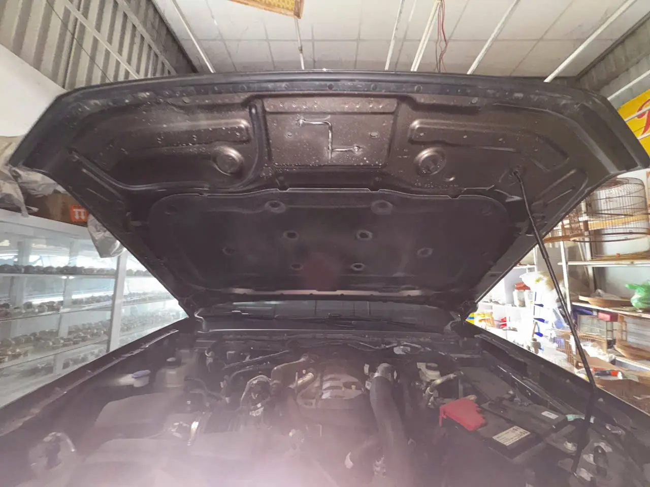 Ford Ranger XLS 2.0L 4x2 AT 2023 - Ngoại thất 16