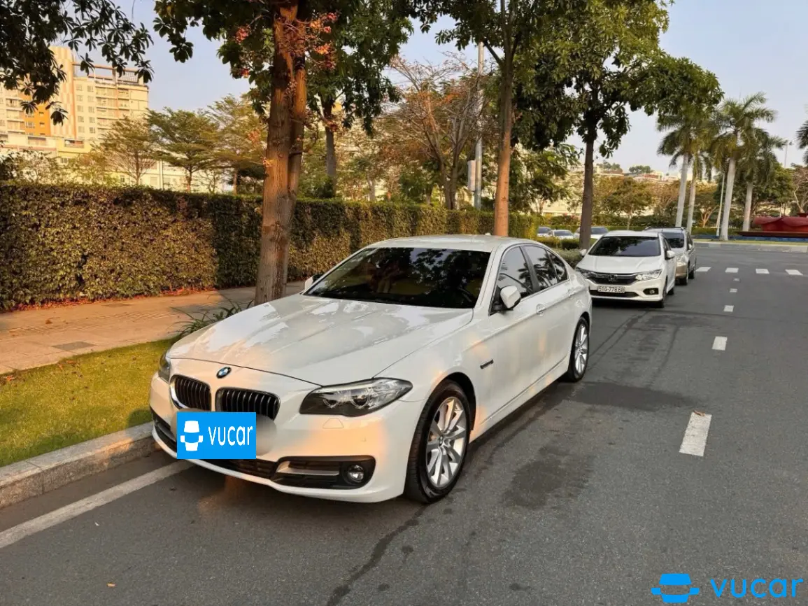 BMW 5 series 520i 2016 - Ngoại thất 8