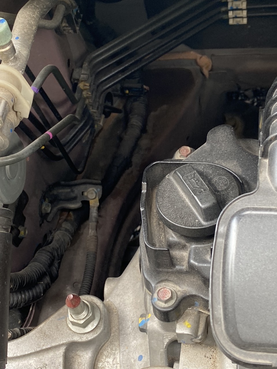 Honda City 1.5 TOP 2019 - Gầm & khung xe 3
