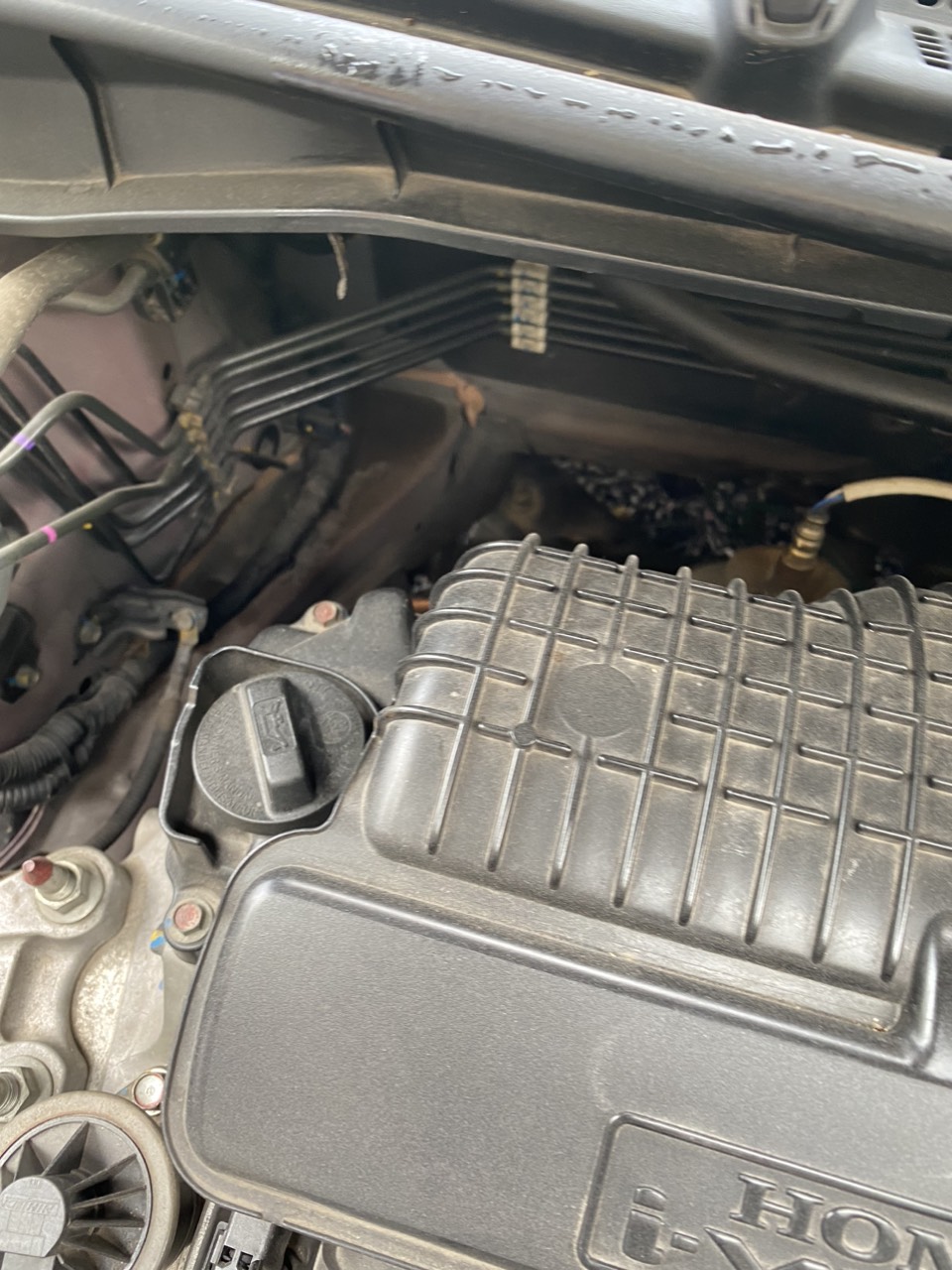 Honda City 1.5 TOP 2019 - Gầm & khung xe 1