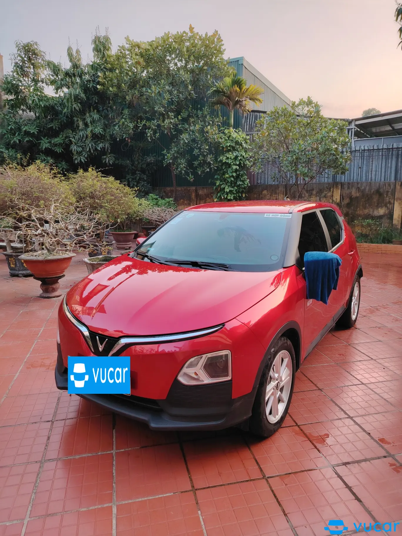 Vinfast Vf5 Plus 2024 - Ngoại thất 2