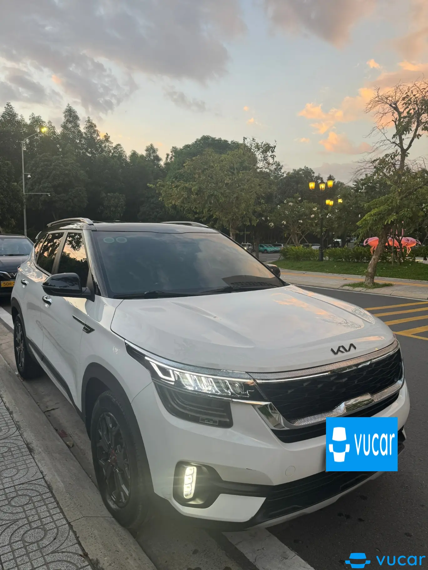 Kia Seltos Premium 1.4 AT 2022 - Ngoại thất 4