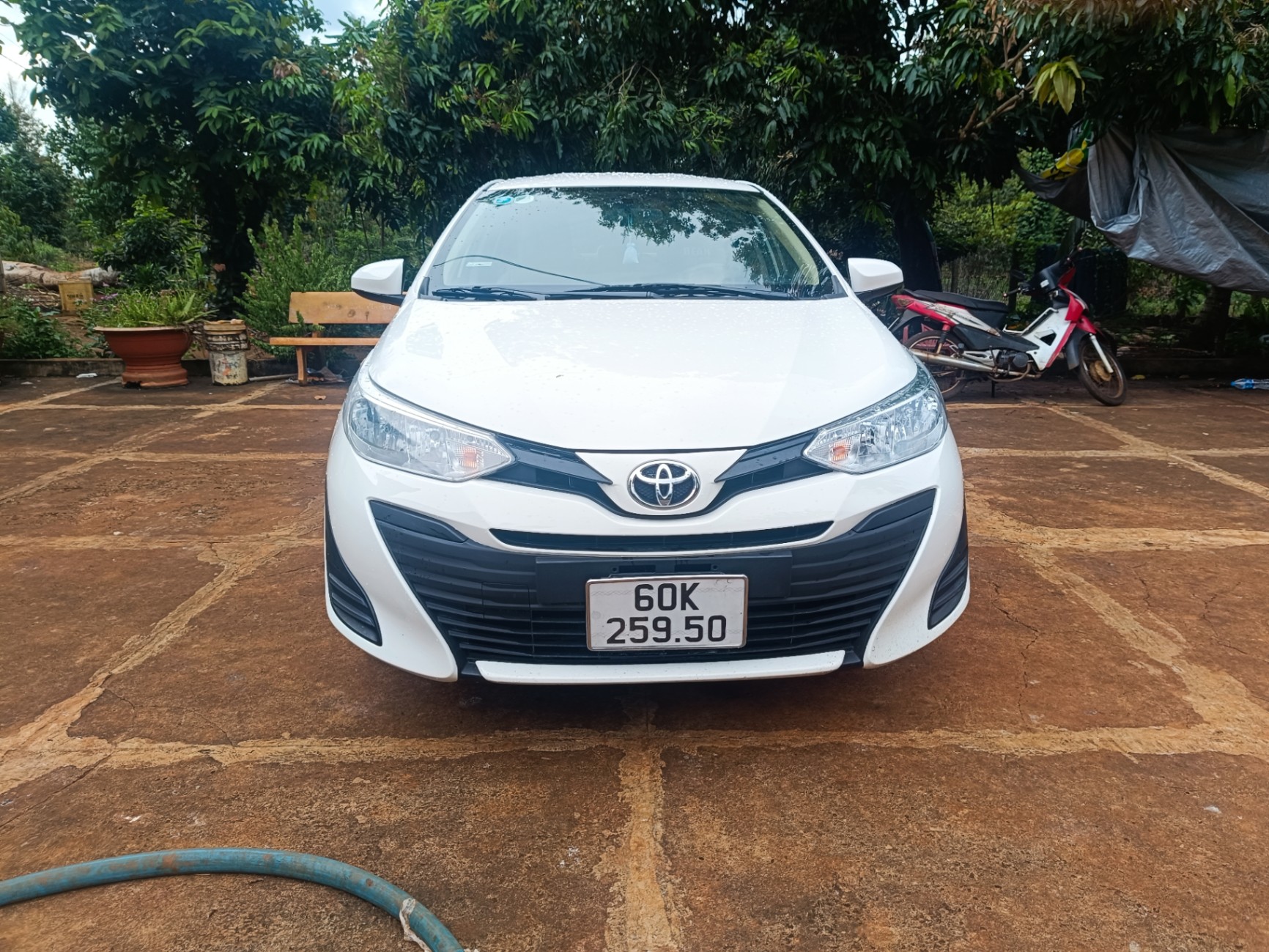 Toyota Vios 1.5E CVT 2019