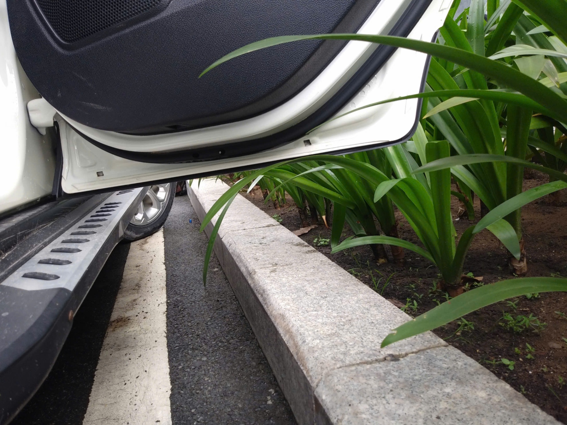 Ford Ecosport Titanium 1.5L AT 2018 - Nội thất 6