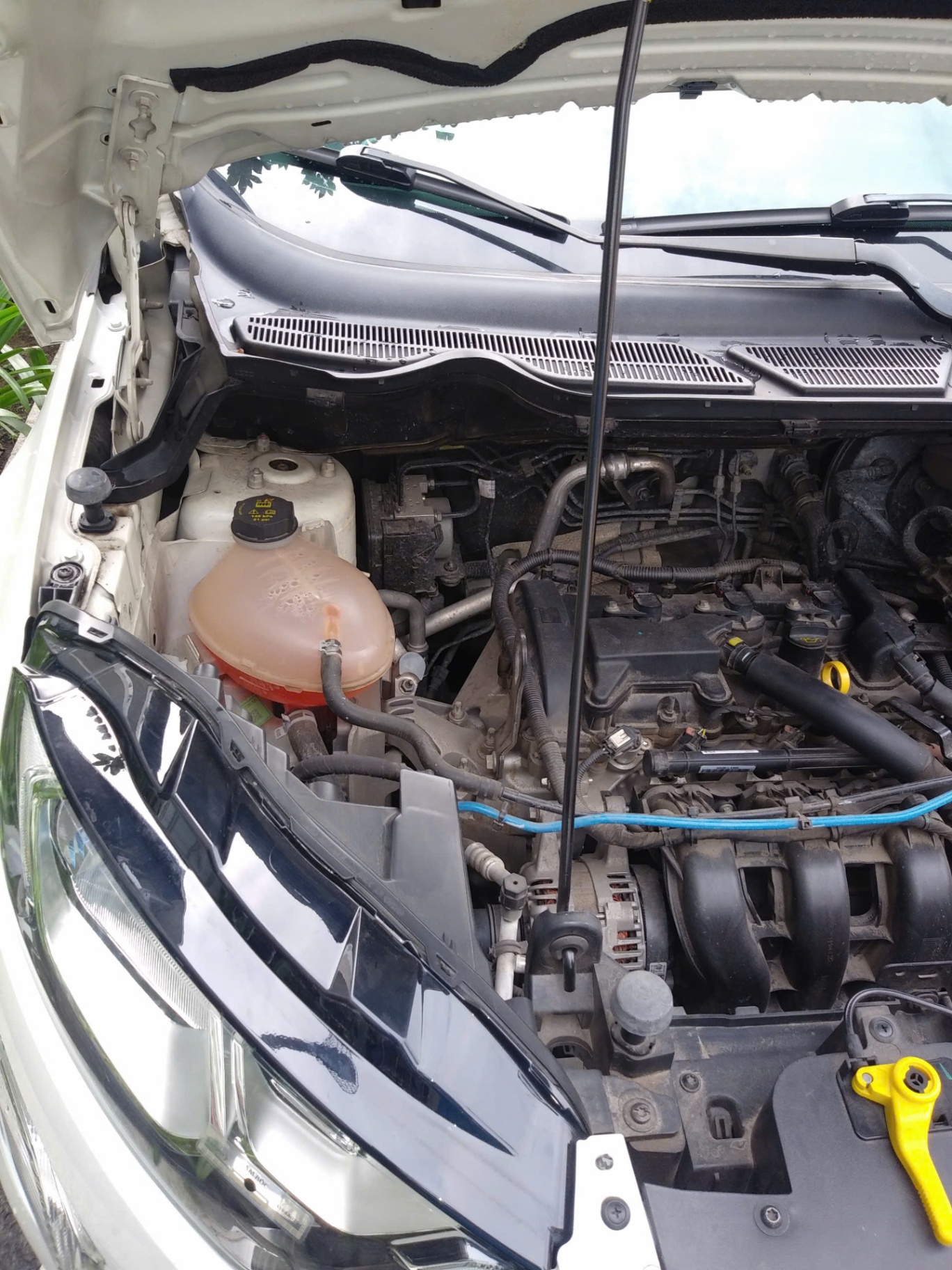 Ford Ecosport Titanium 1.5L AT 2018 - Khoang động cơ 1