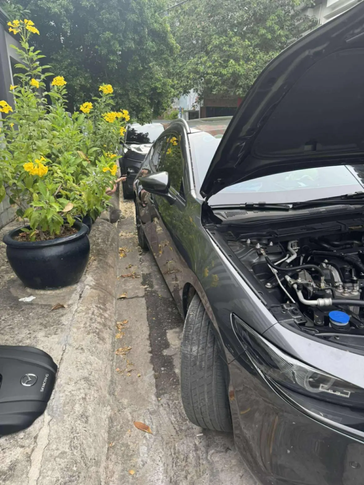 Mazda 3 2.0L Sport Signature Premium 2020 - Ngoại thất 1