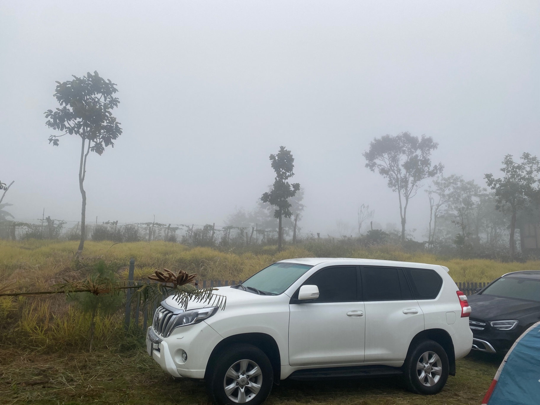 Toyota Prado TXL 2.7L 2012 - Ngoại thất 2