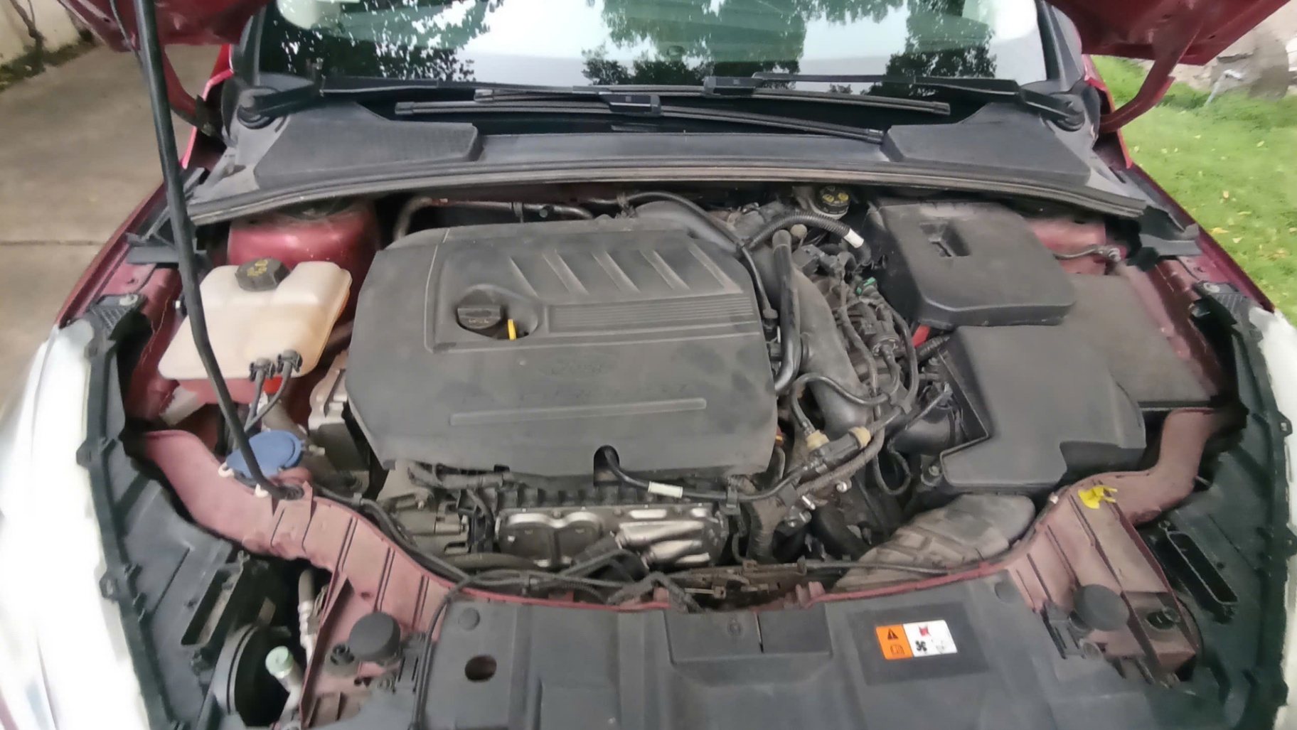 Ford Focus Trend 1.5L 2018 - Khoang động cơ 1