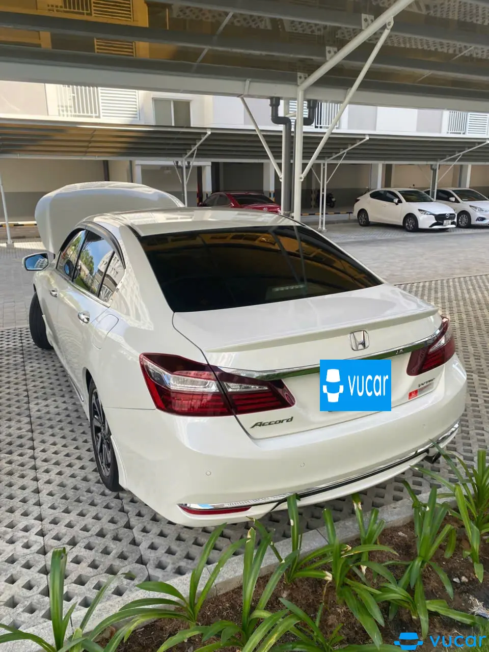 Honda Accord 2.4 AT 2016 - Ngoại thất 9