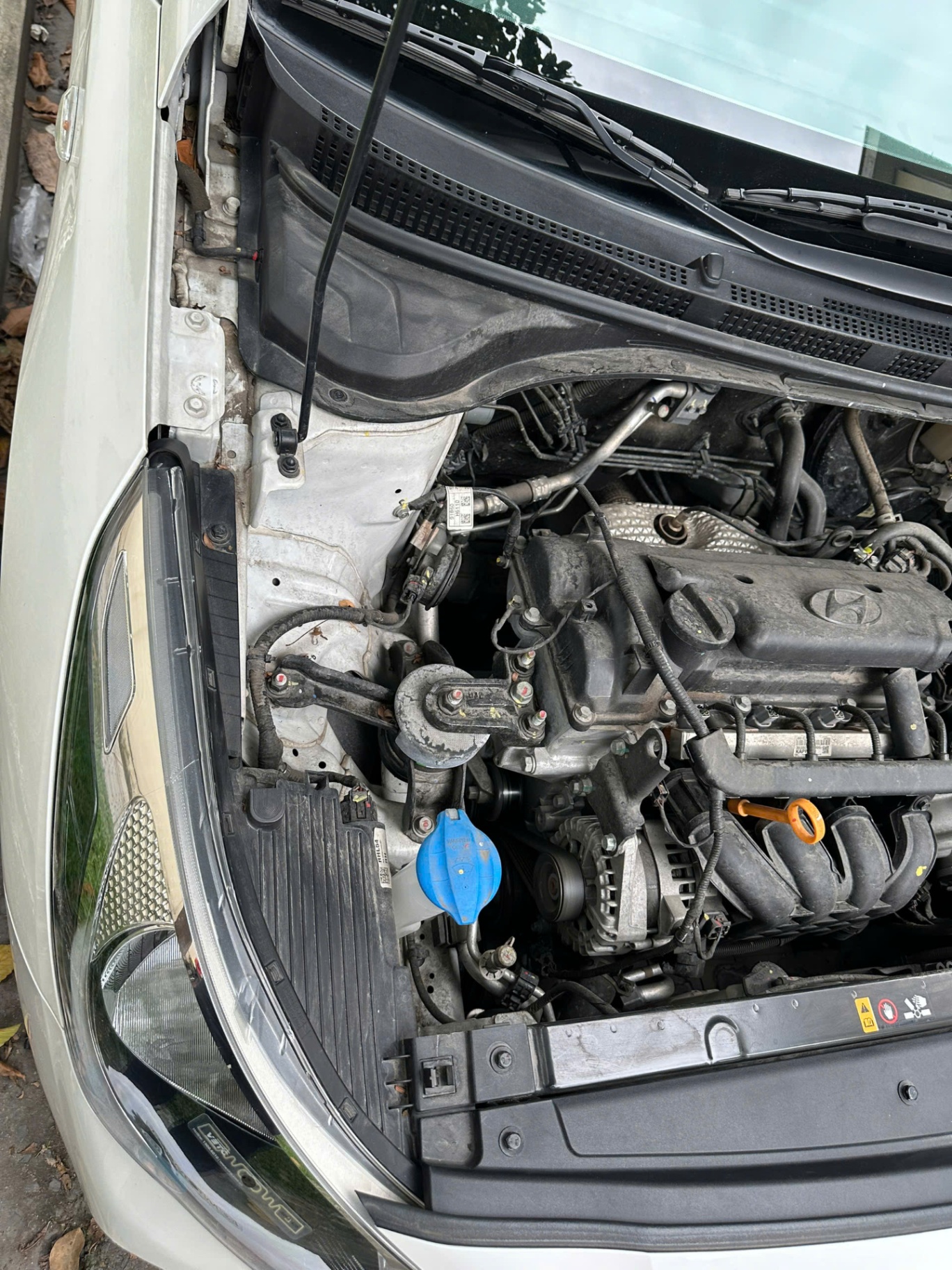 Hyundai Accent 1.4 MT 2022 - Khoang động cơ 5