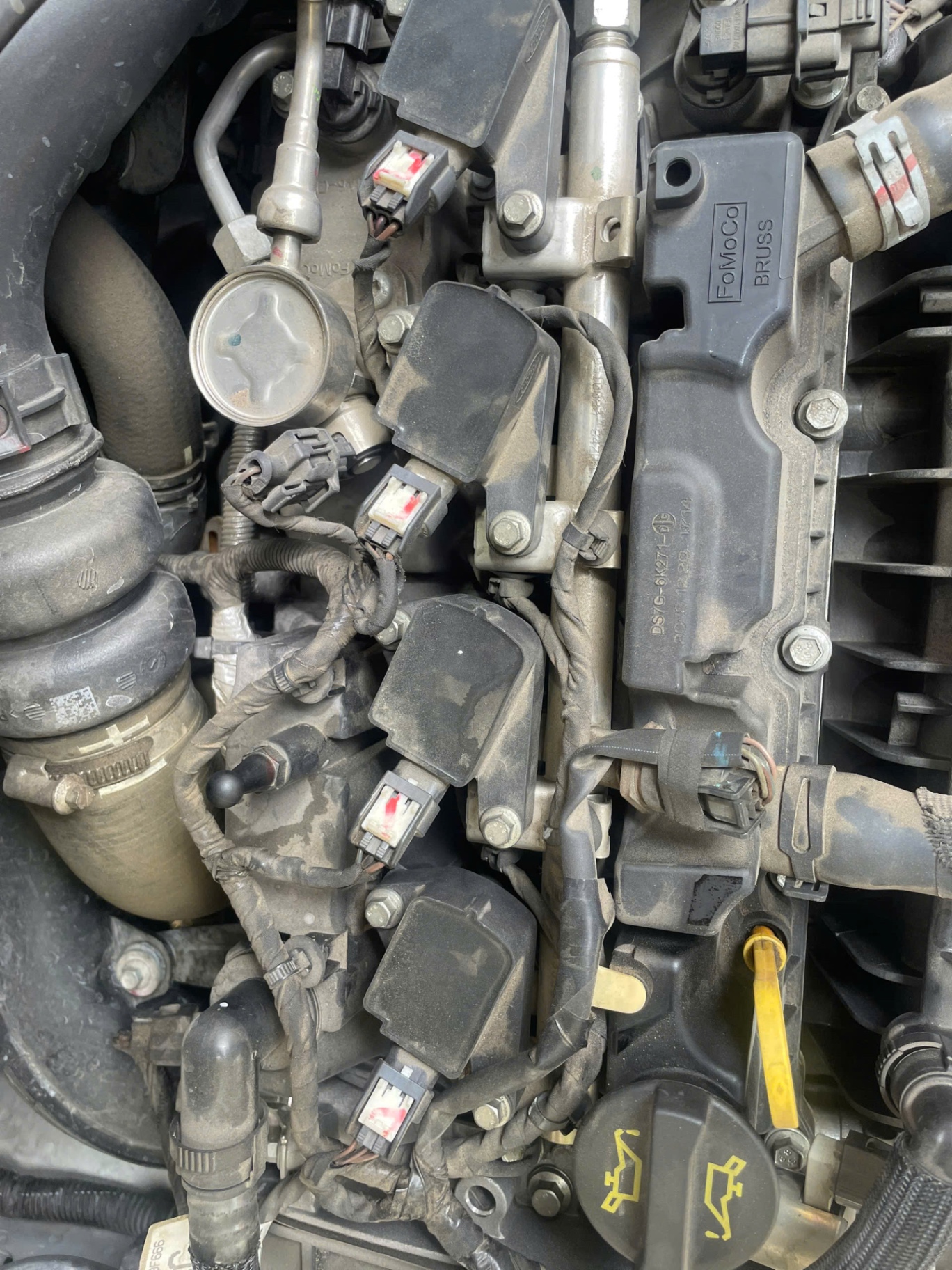 Ford Focus Trend 1.5L 2019 - Khoang động cơ 4