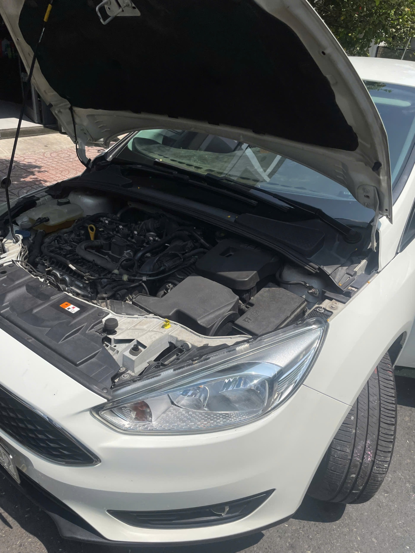 Ford Focus Trend 1.5L 2019 - Khoang động cơ 5