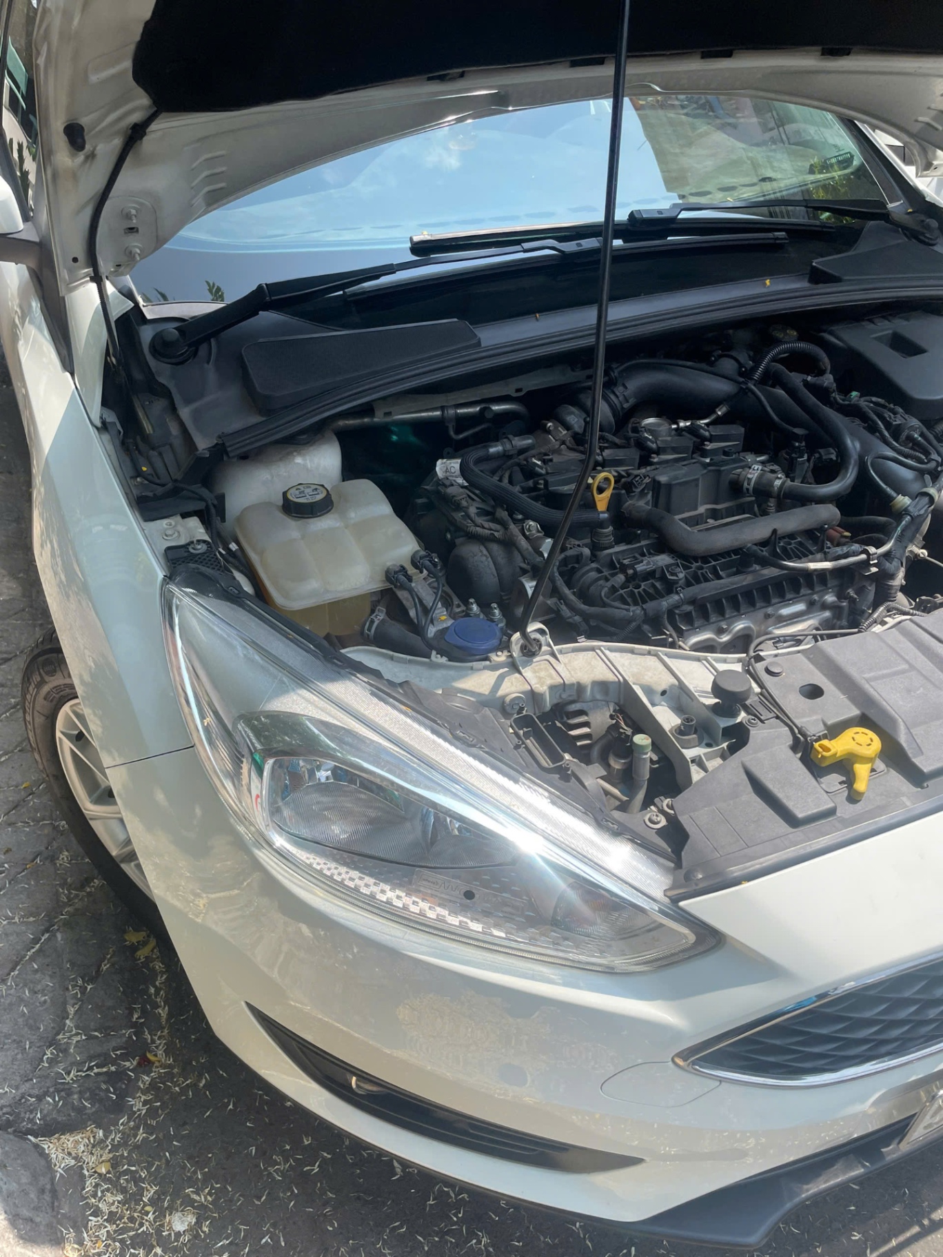 Ford Focus Trend 1.5L 2019 - Khoang động cơ 8