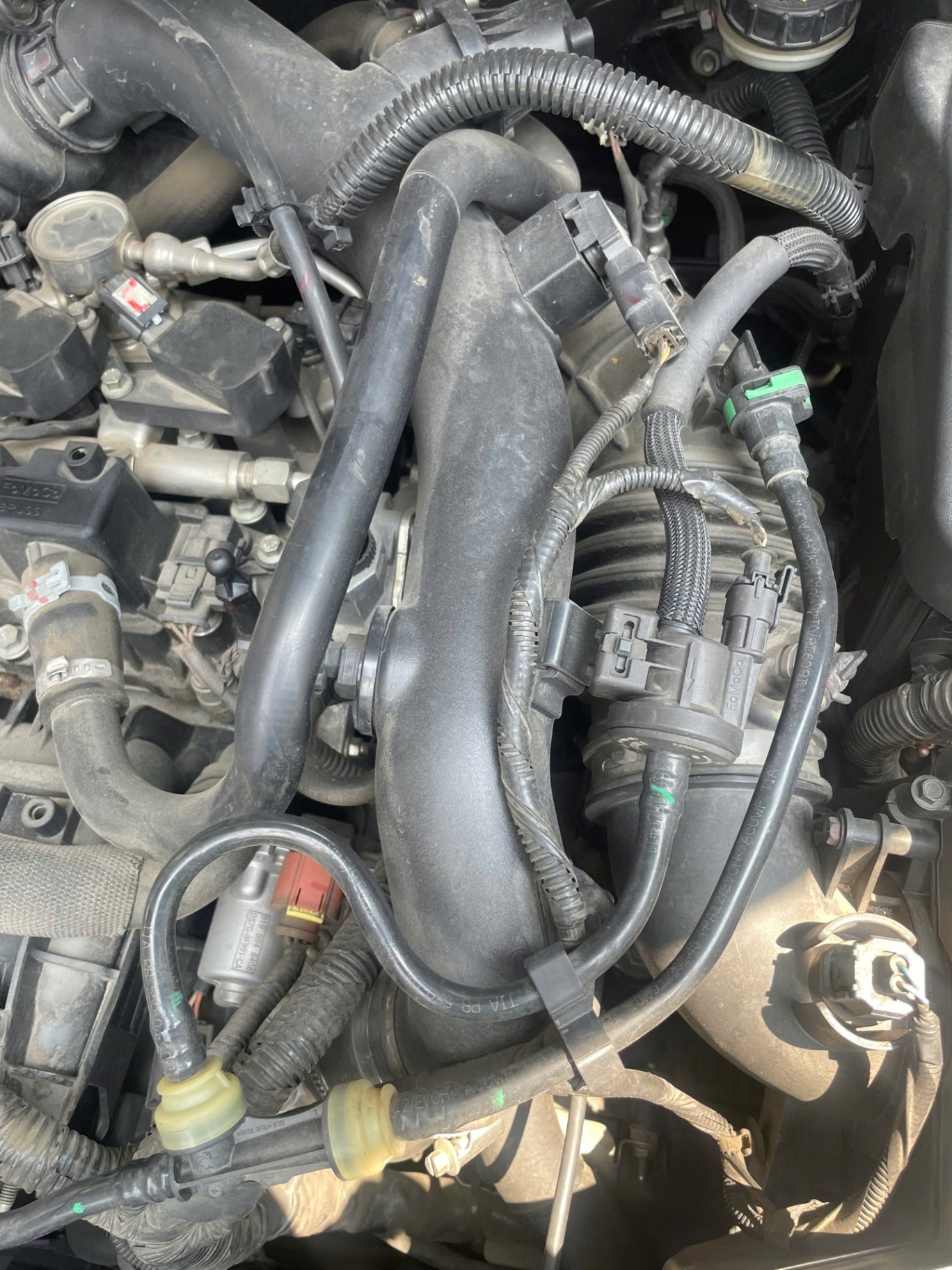 Ford Focus Trend 1.5L 2019 - Khoang động cơ 7