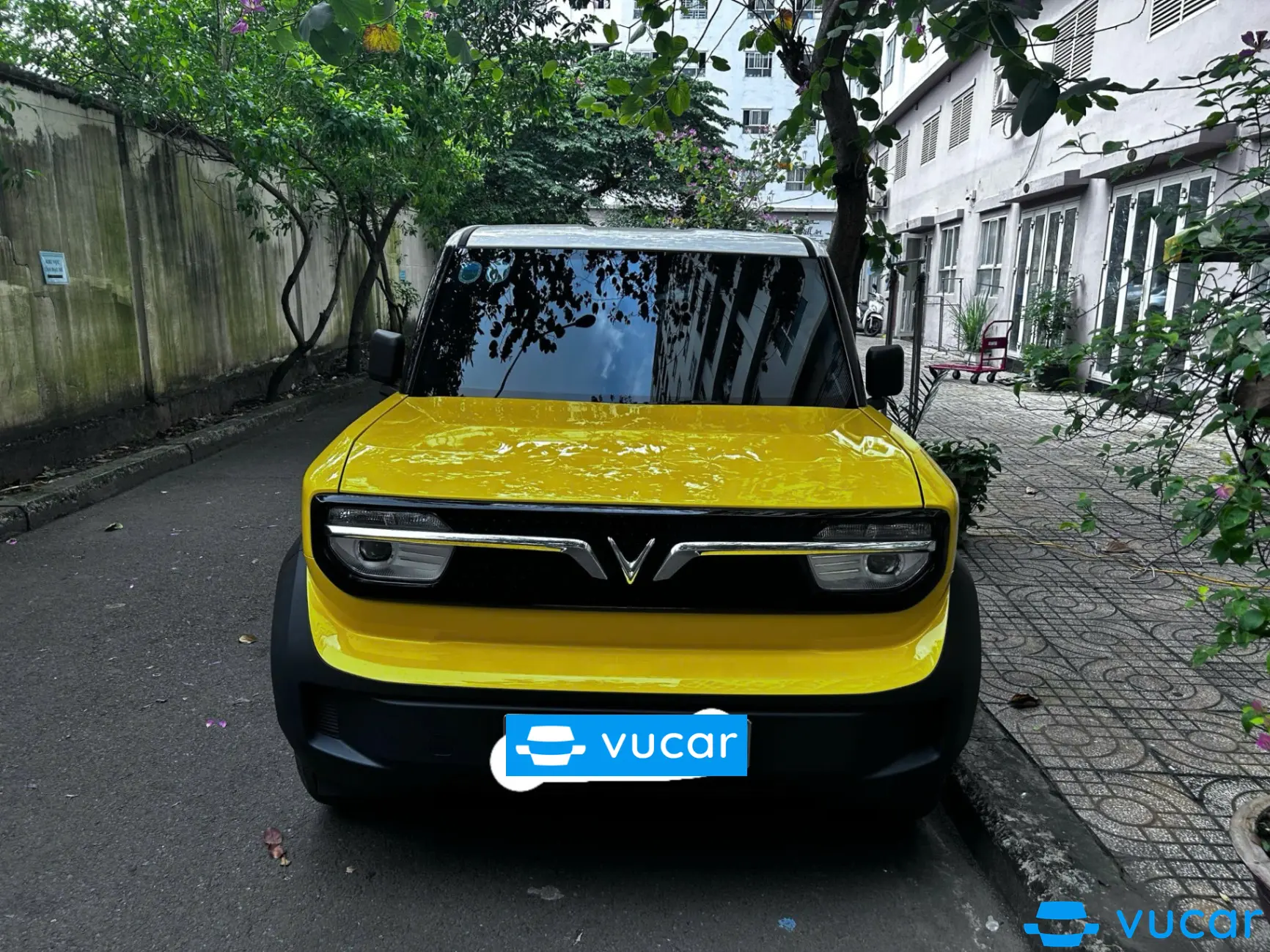 Vinfast Vf3 Thuê Pin 2024