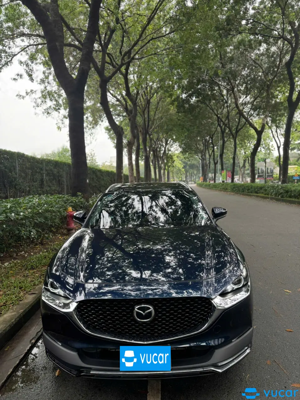 Mazda Cx 30 Premium 2.0 AT 2021 - Ngoại thất 2