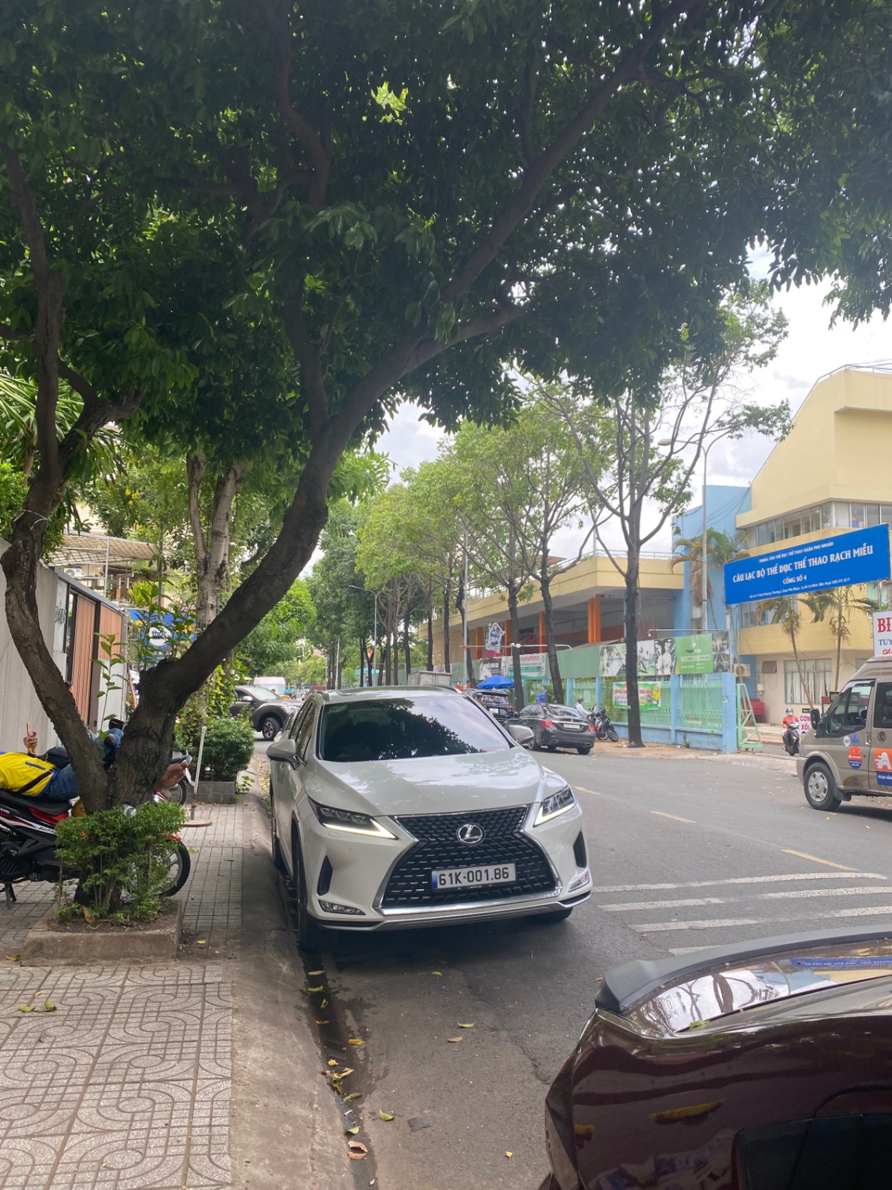 Lexus Rx 300 2021