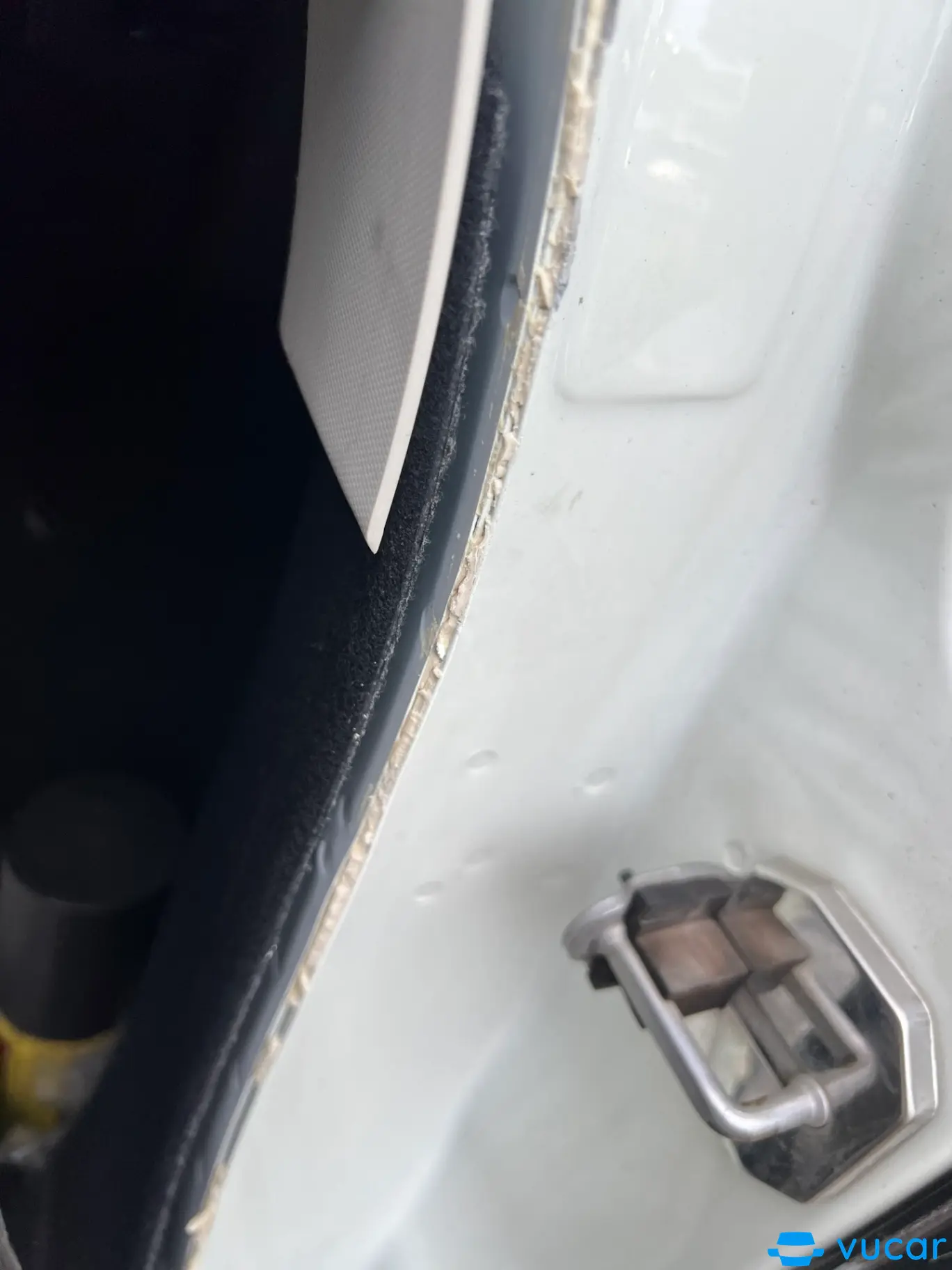 Ford Ecosport Titanium 1.5 AT 2020 - Ngoại thất 11