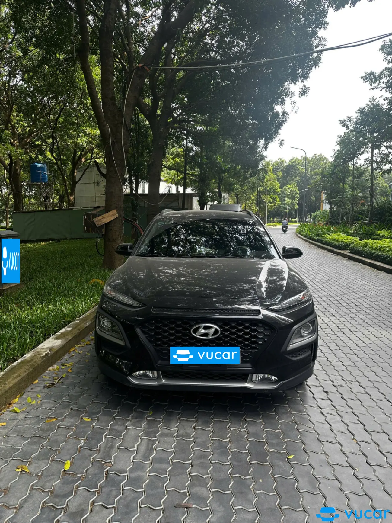 Hyundai Kona 2.0 ATH 2019