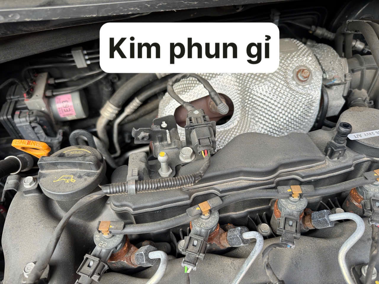 Kia Sedona 2.2 DAT Luxury 2021 - Khoang động cơ 4