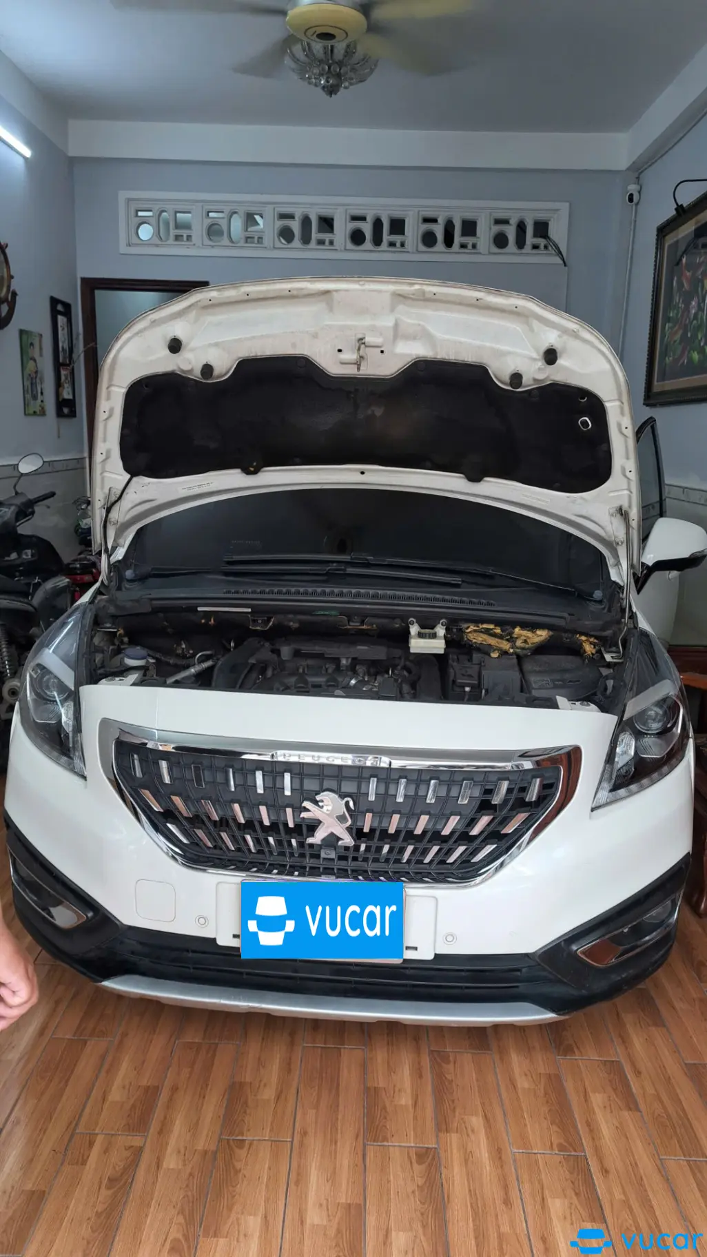 Peugeot 3008  2017 - Ngoại thất 11