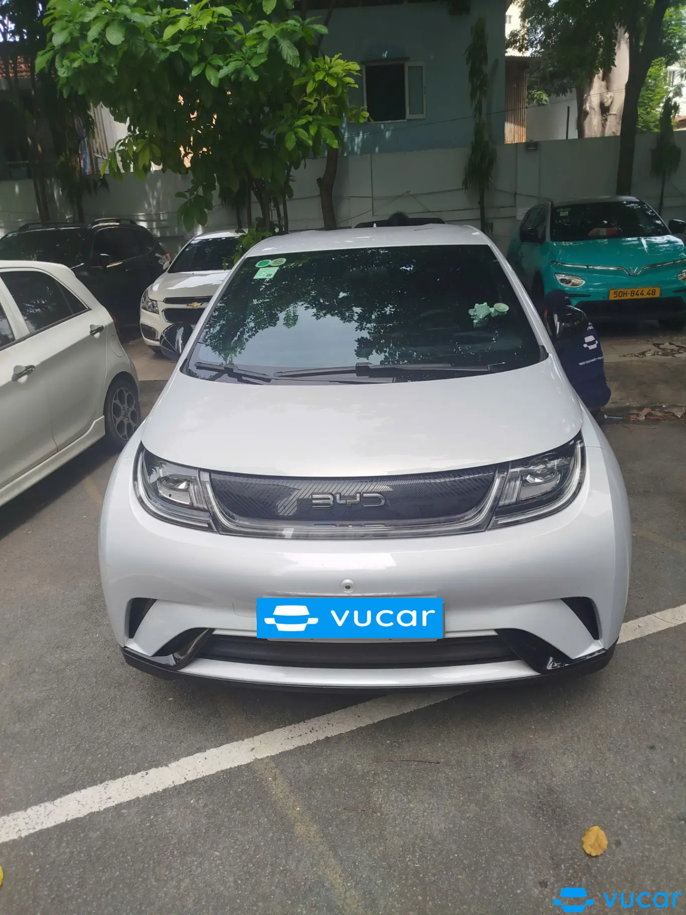 BYD Dolphin 2024 GLX