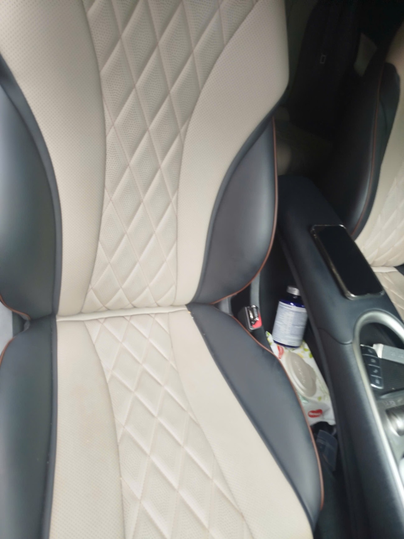 BYD Dolphin 2024 GLX - Nội thất 4