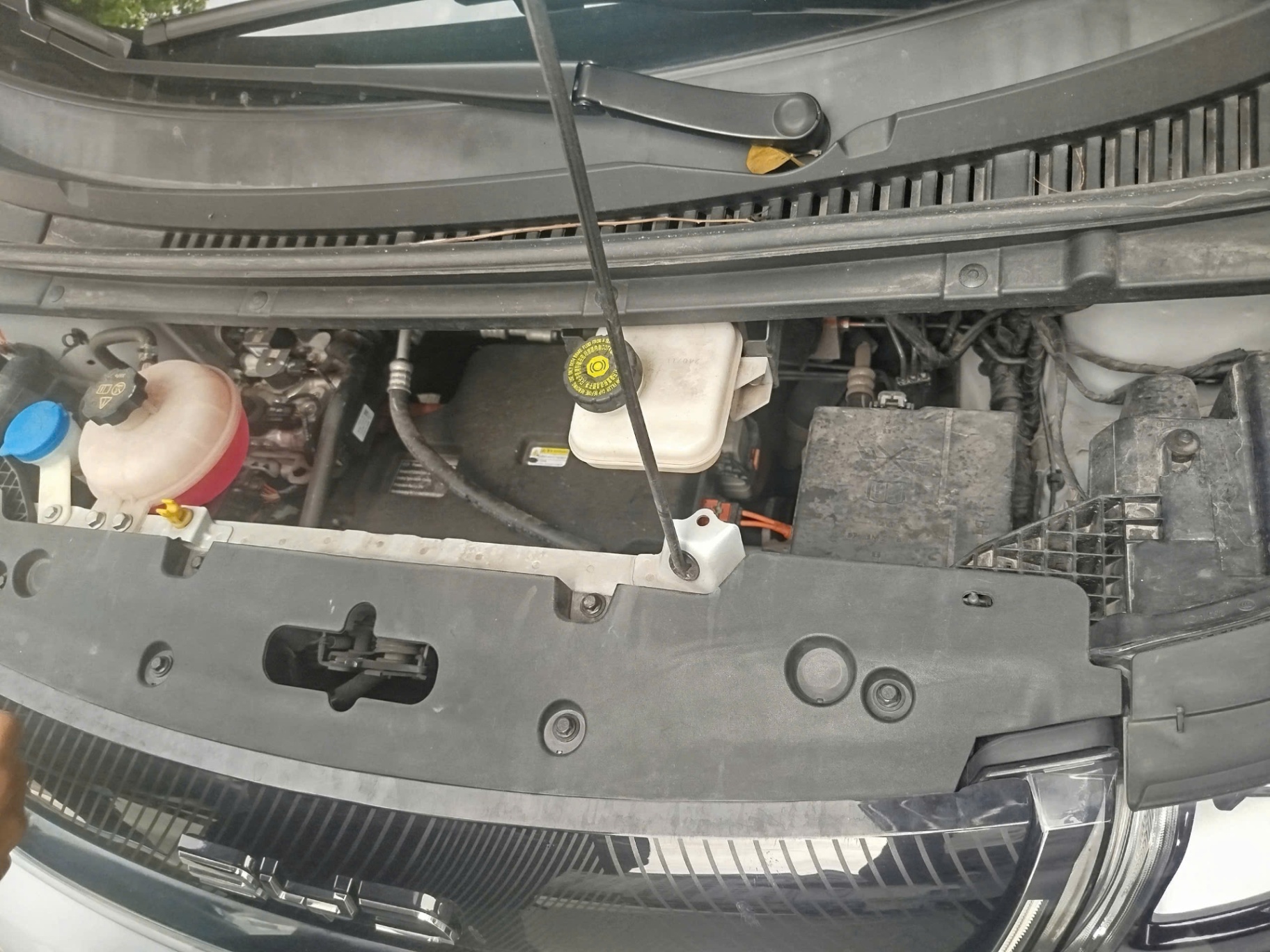 BYD Dolphin 2024 GLX - Khoang động cơ 1