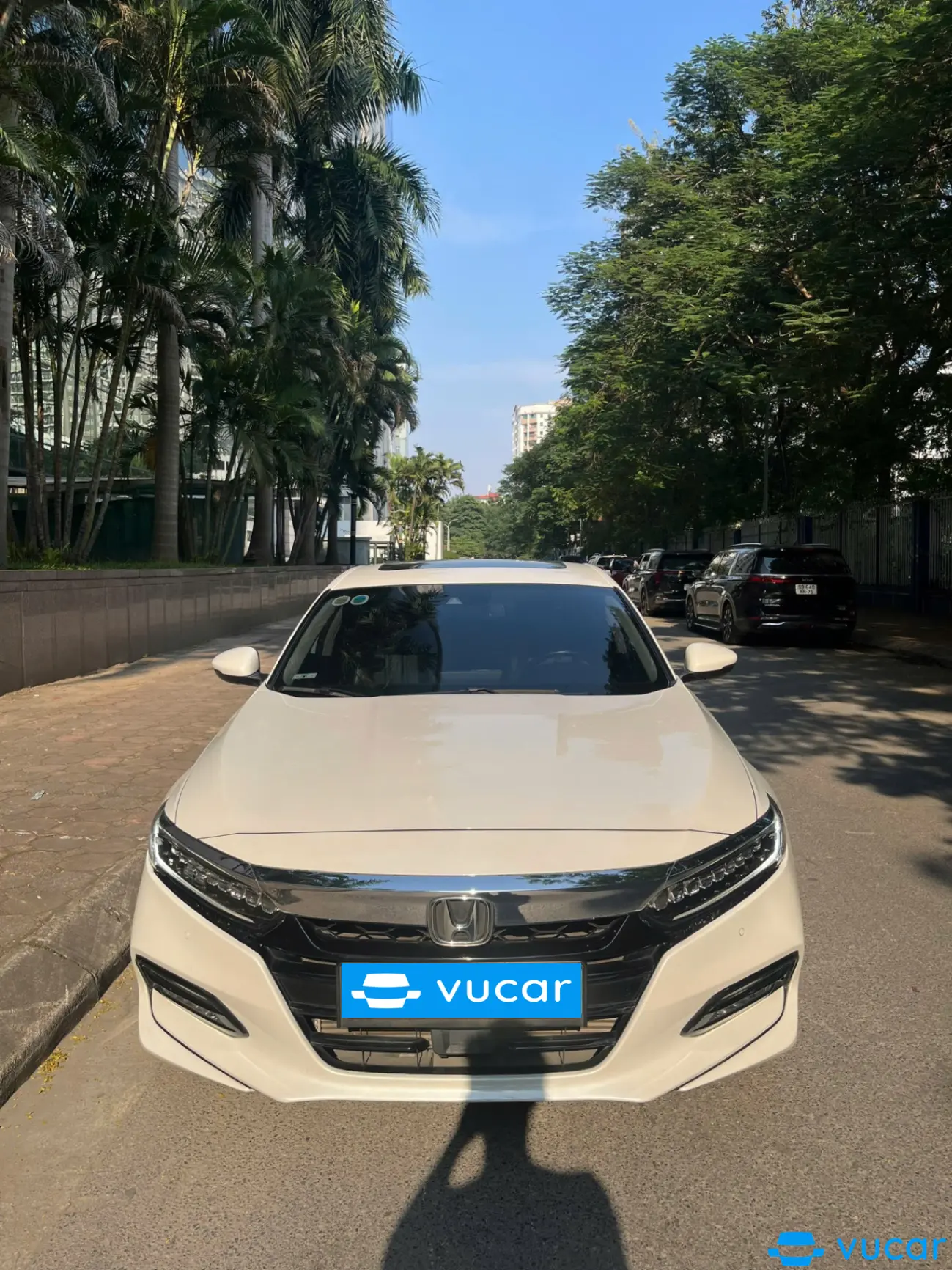 Honda Accord 2021 - Ngoại thất 2