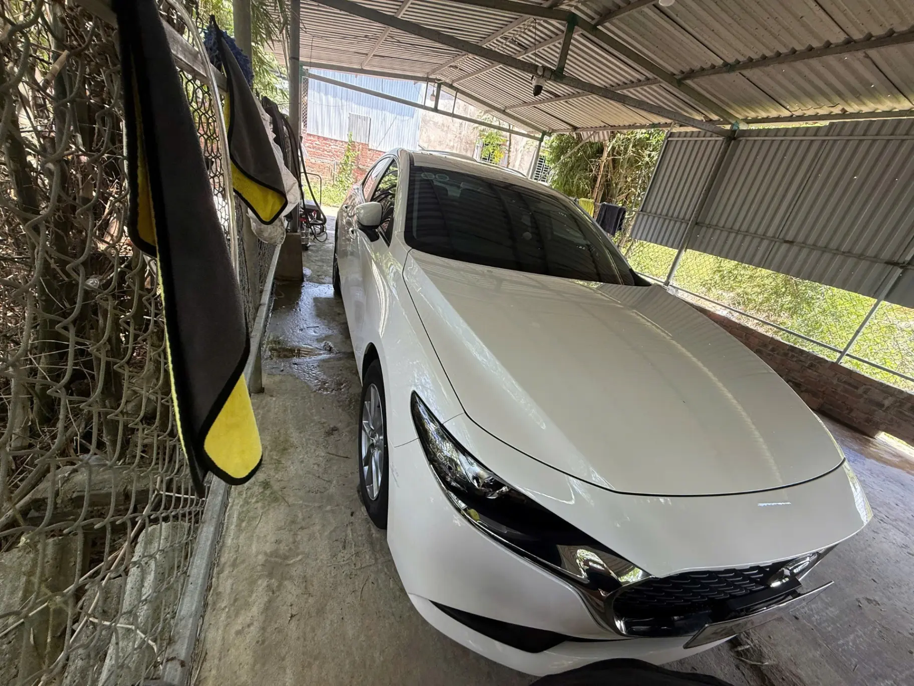 Mazda 3 1.5L Deluxe 2024 - Ngoại thất 2