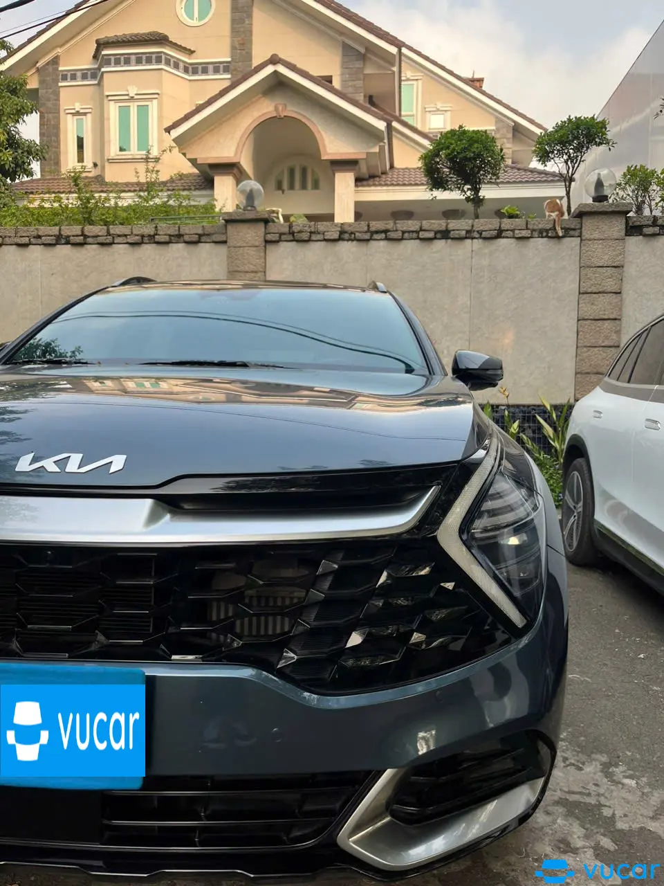Kia Sportage Signature 2.0D 2022 - Ngoại thất 4
