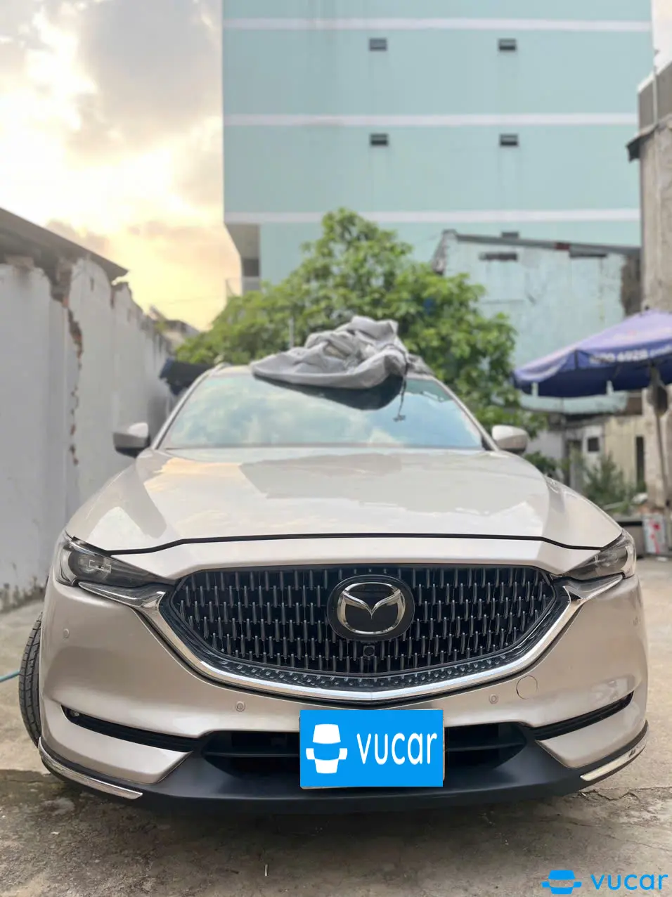 Mazda Cx8 Premium 2023 - Ngoại thất 10