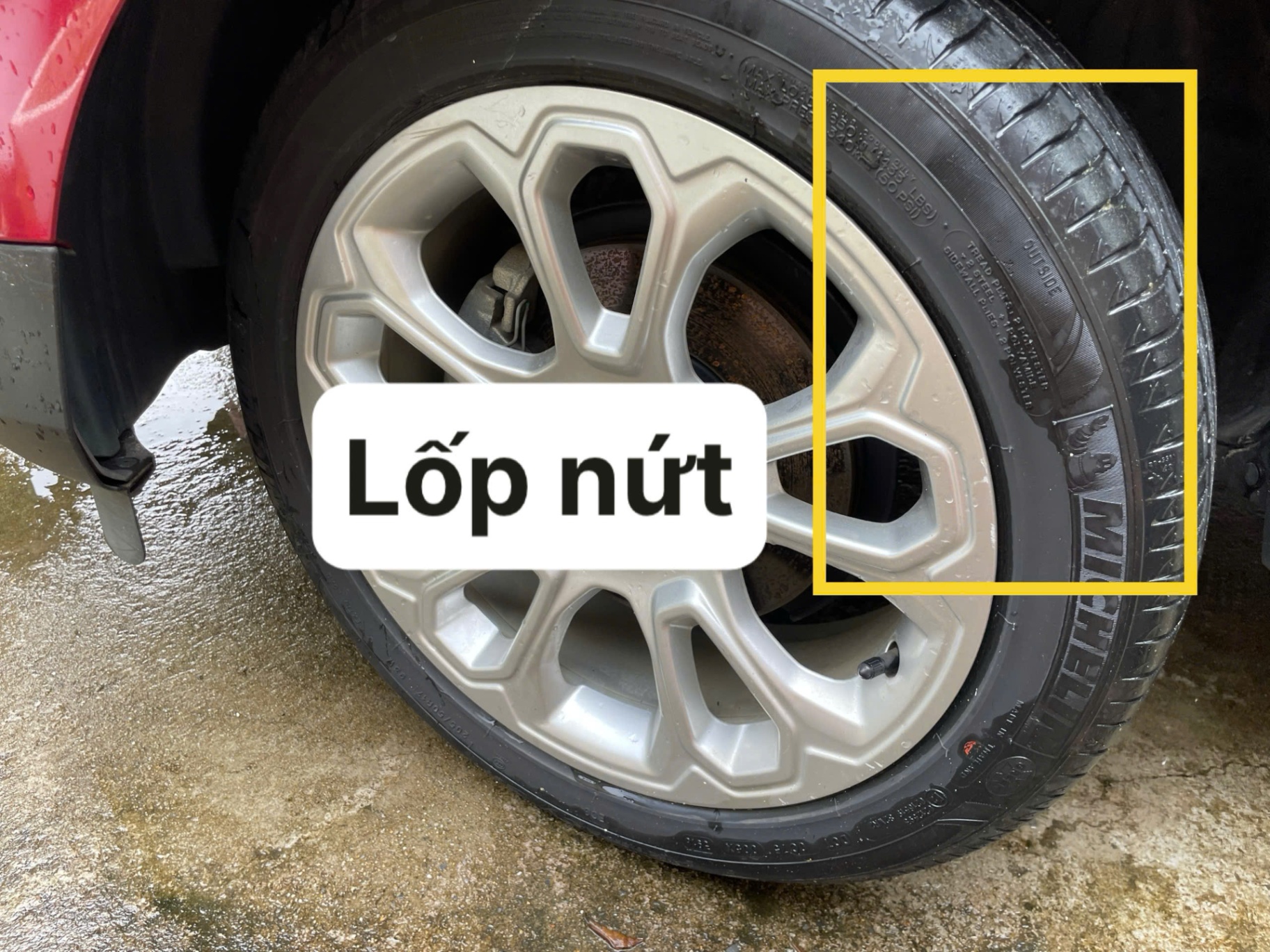 Ford EcoSport 2019 Titanium 1.5L AT - Ngoại thất 15