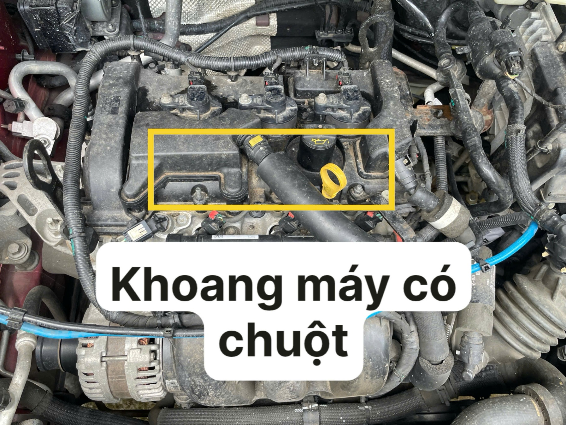 Ford EcoSport 2019 Titanium 1.5L AT - Khoang động cơ 1