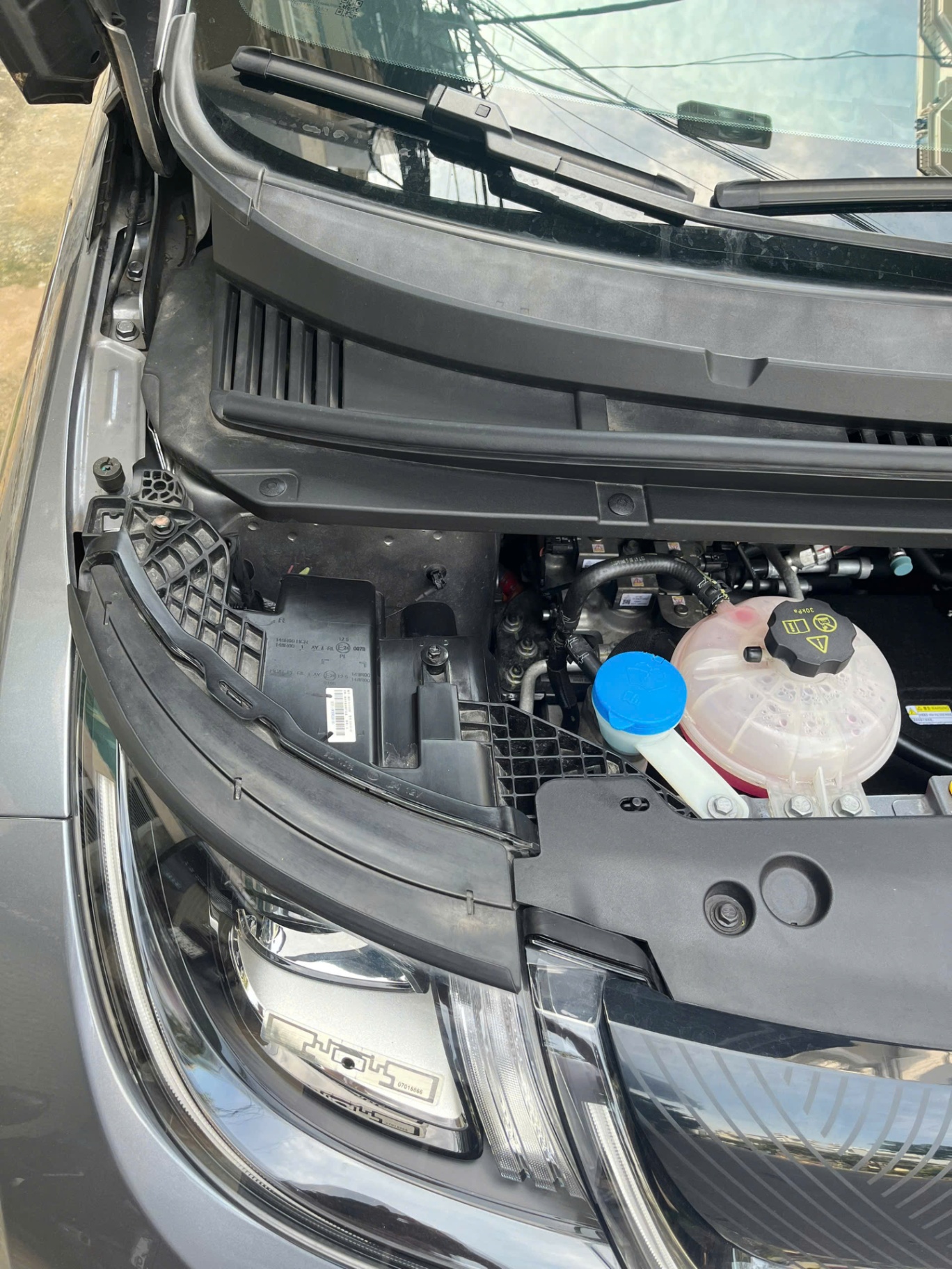 Byd Dolphin GLX 2024 - Khoang động cơ 1