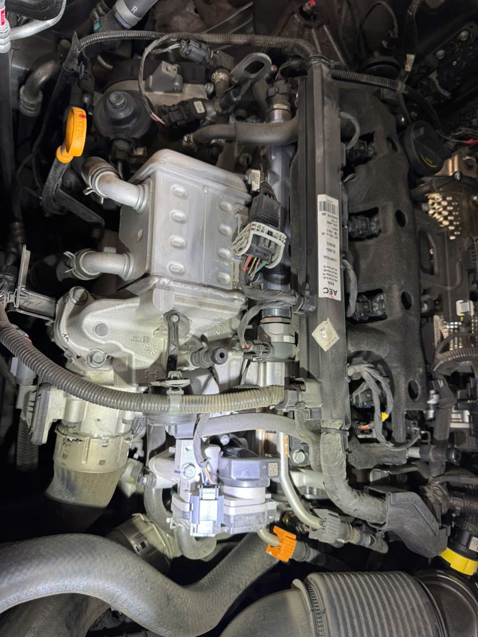 Kia Carnival 2024 Premium 2.2D 7S - Khoang động cơ 8