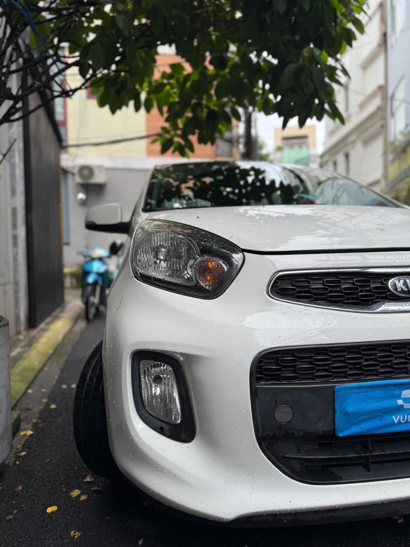 Kia Morning AT 2019 - Ngoại thất 5