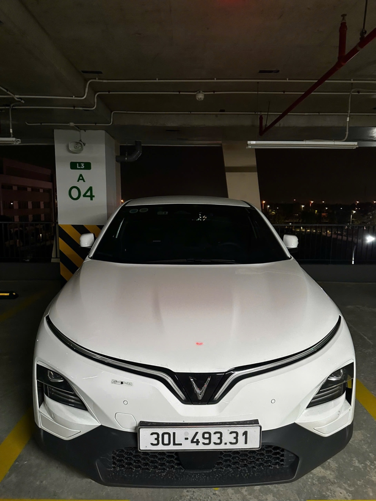 Vinfast Vf6 Plus 2024