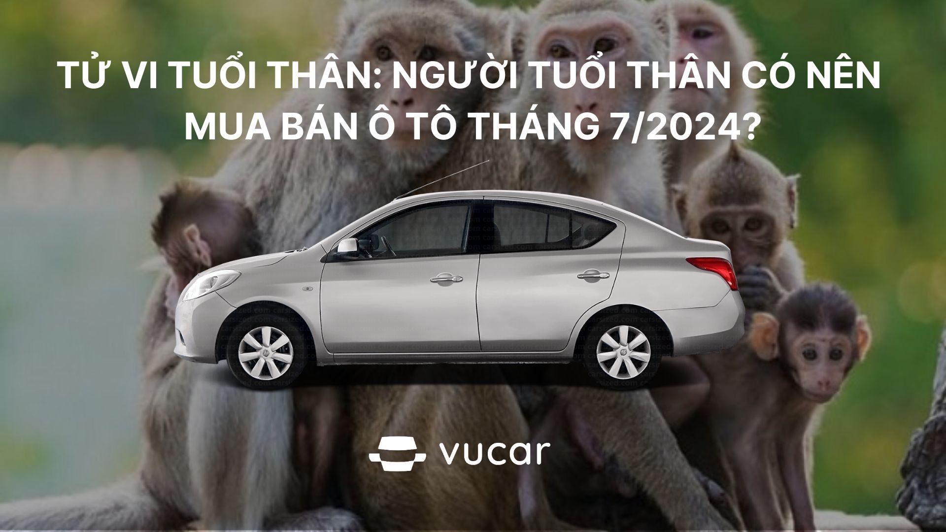 Tử vi tuổi Thân tháng 7/2024