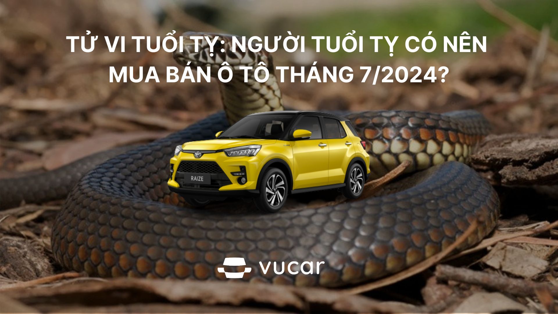 Tử vi tuổi Tỵ tháng 7/2024